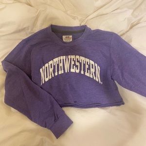 anvil Northwestern Cropped Sweatshirt